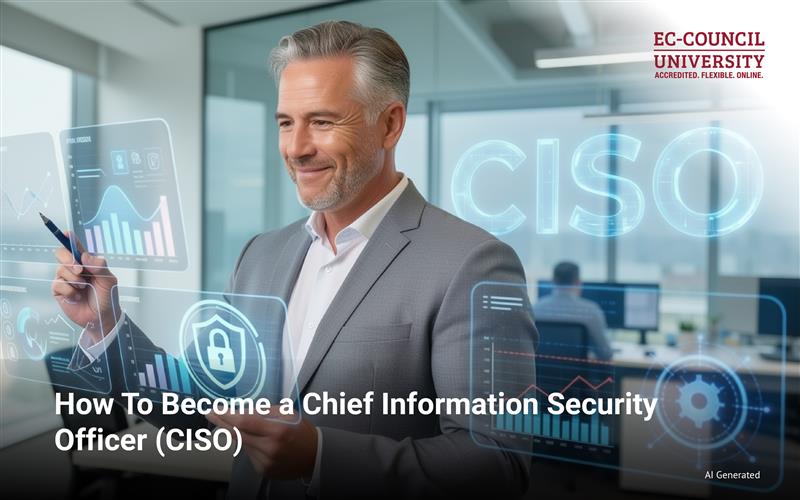 How to Become a Chief Information Security Officer (CISO)