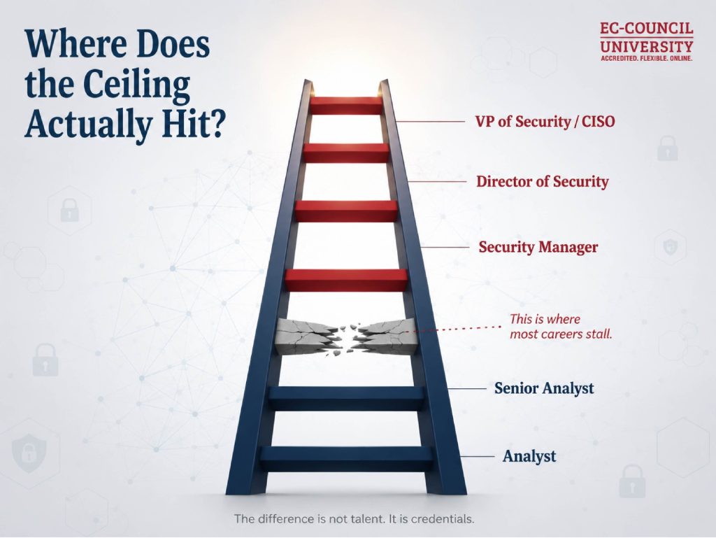 Infographic 2 - Why an MSCS Is More Than a Technical Degree