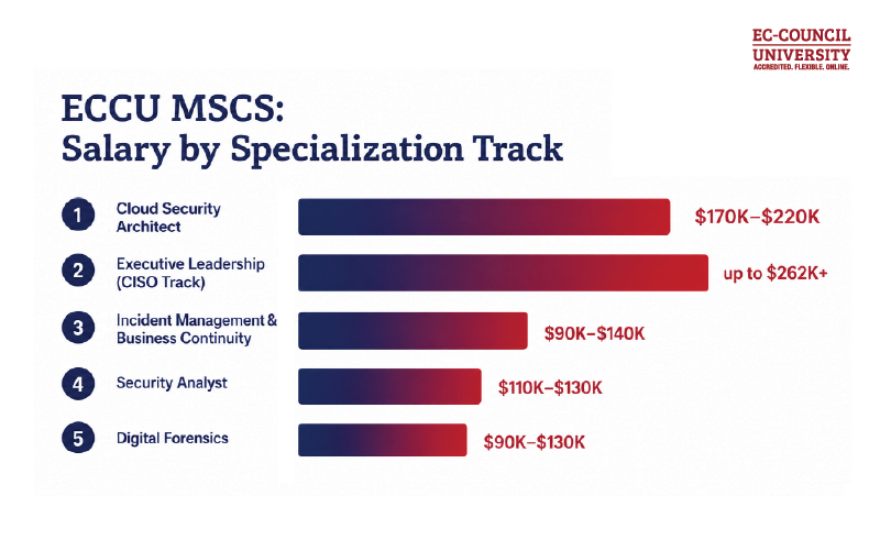 Infographic-How-Much-Can-You-Earn-With-an-Online-Masters-in-Cybersecurity.png